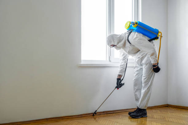 Best Bed Bug Extermination  in Umatilla, FL